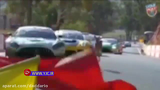 ورود کانگوروهای بازیگوش به پیس...