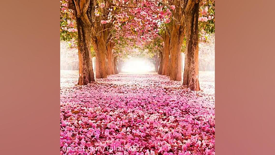 کلیپ انگیزشی فوق العاده زیبا و...