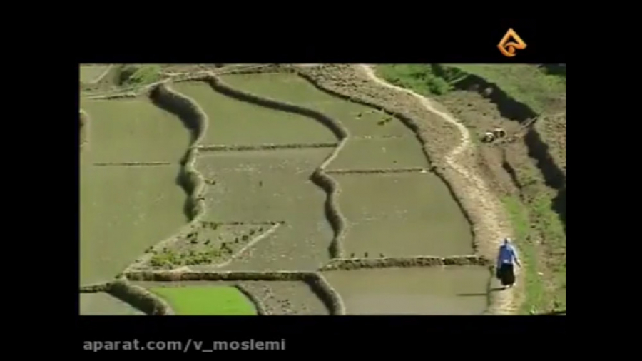 کلیپ بسیار زیبای مازندرانی مار...