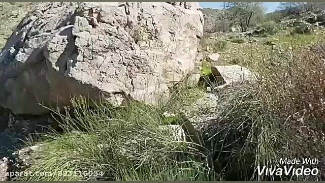 نماآهنگ طبیعت سبز وکوهستانی فا...