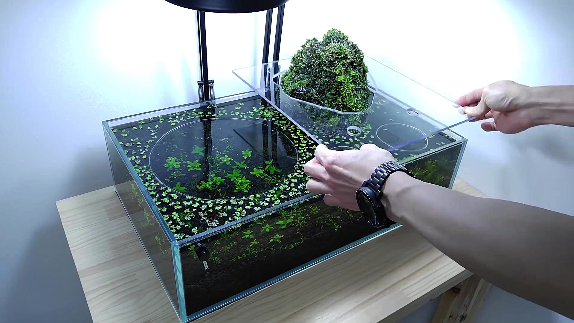 ساخت آکواریوم لاکچری و گران قی...