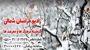 مصاحبه کامل وحید فیروزه( وحیدس...