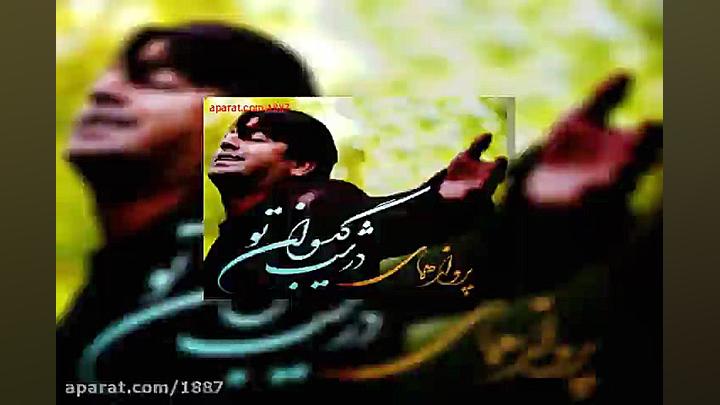 آهنگ پرواز همای بی کَس