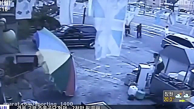 حمله های دیدنی از حیوانات وحشی...