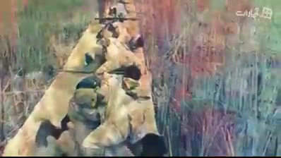 رایقی پور .هک صفحات سکسی