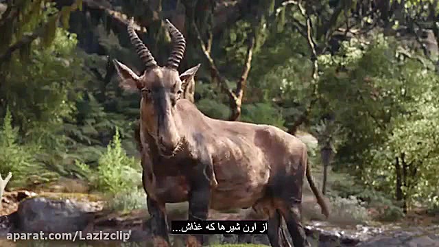 انیمیشن شیرشاه The Lion King 2019 زمان7367ثانیه
