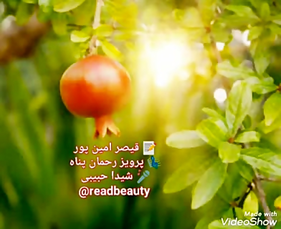 ای روز آفتابی،قیصر امین پور، خ...