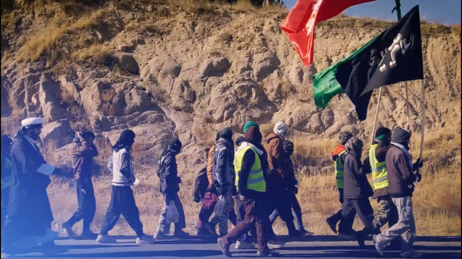 نماهنگ کبوتر غریبم و سر میزارم