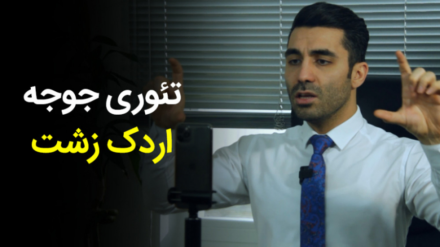 تئوری جوجه اردک زشت در کسب و ک...