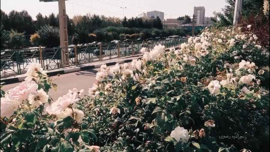 ولاگ تهران زیبا را از طریق لنز...