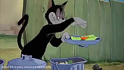 سری جدید کارتون تام و جری