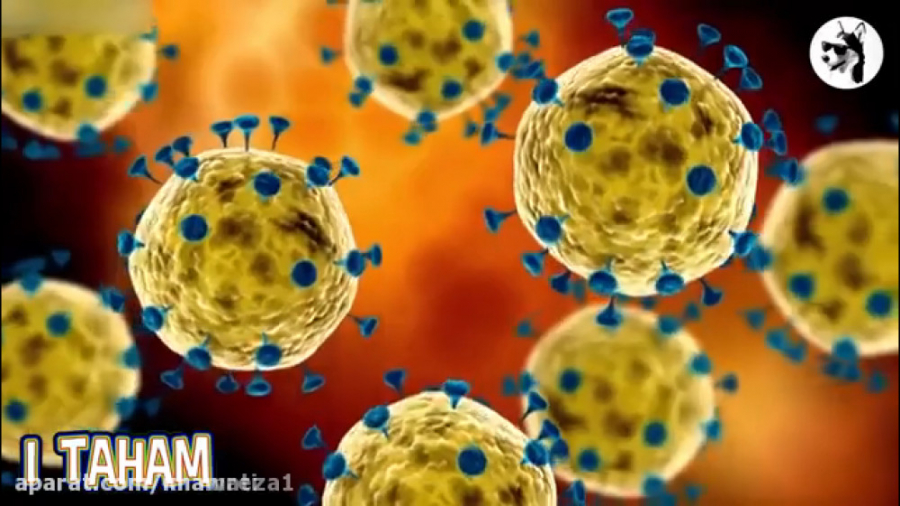 ✅ ویروس کرونا چیست؟