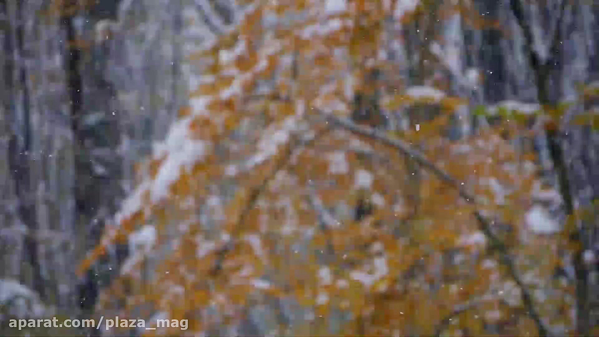 ایران با کیفیت 4K