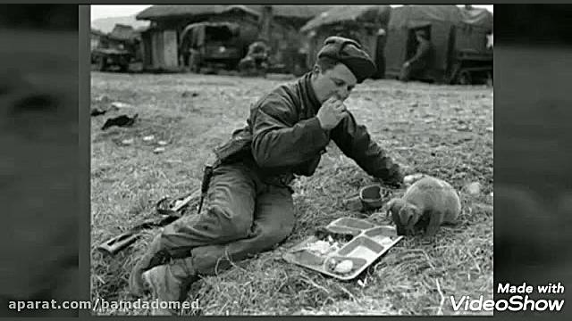 شعر نه به خاطر آفتاب نه بخاطر...