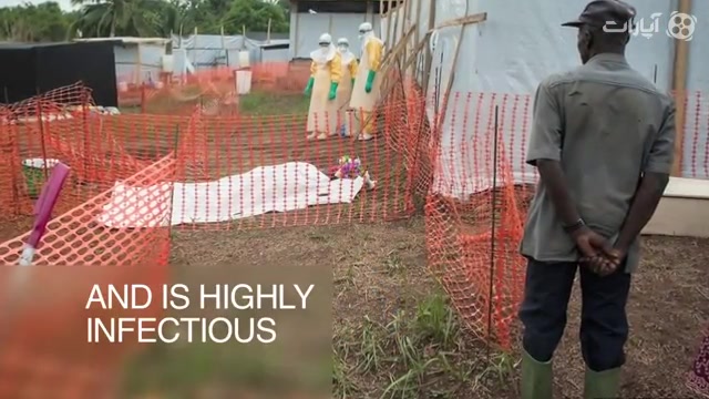 در شصت ثانیه : ابولا چیست؟
