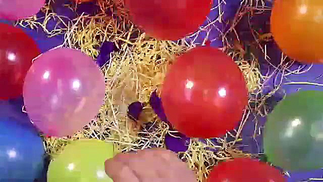 وعده و وعید انتخاباتی