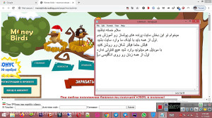 کسب درآمد دلاری مانی بردز