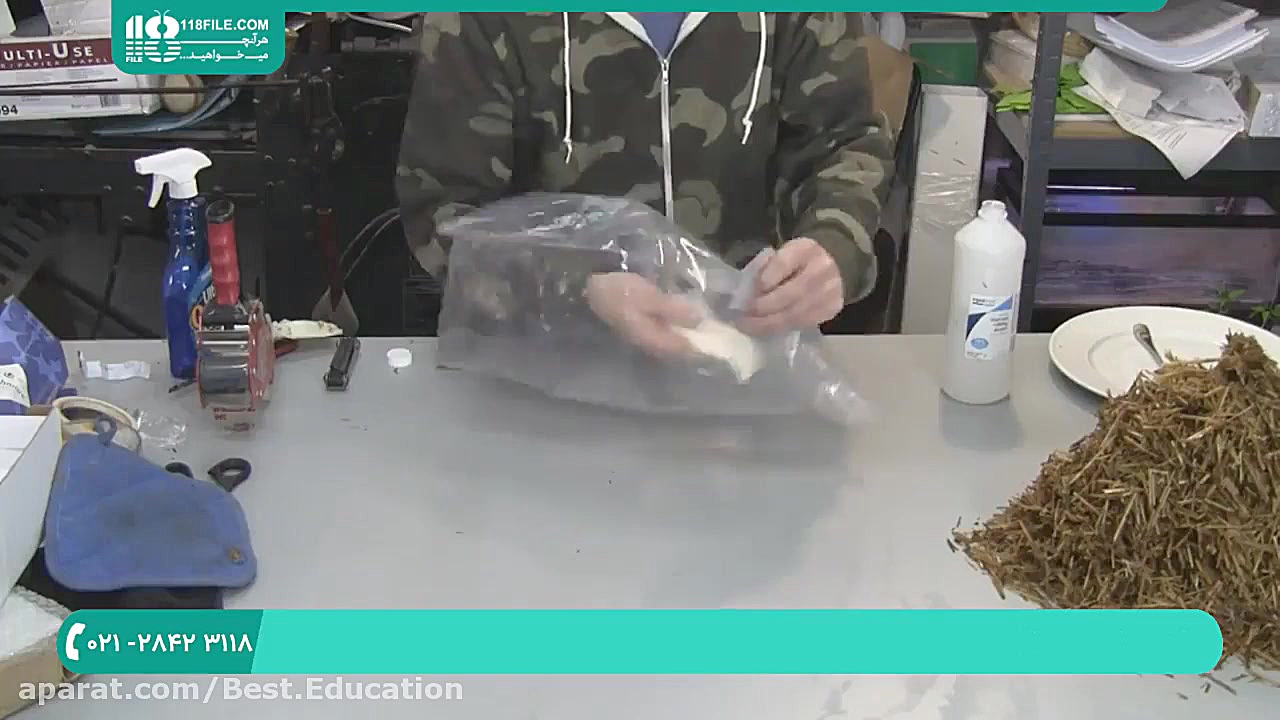 آموزش پرورش قارچ مورل 02128423...