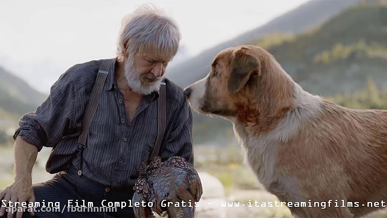 Streaming Film Altadefinizione...