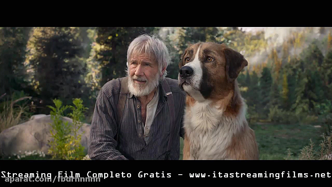 Il Richiamo della Foresta Stre...