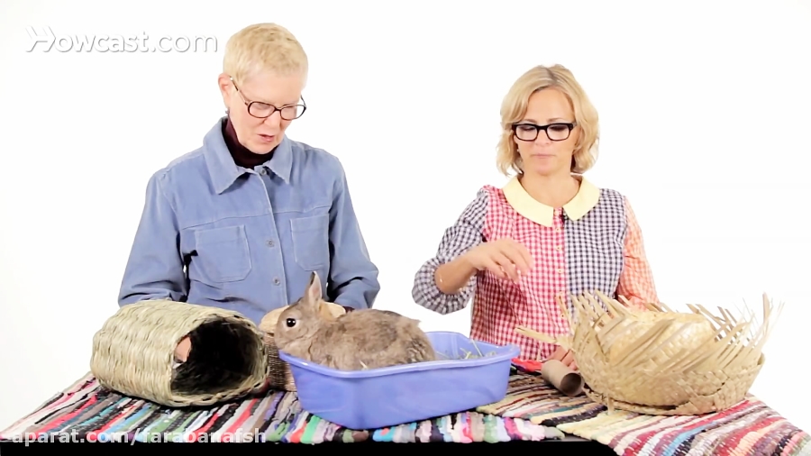 اسباب بازی برای خرگوش