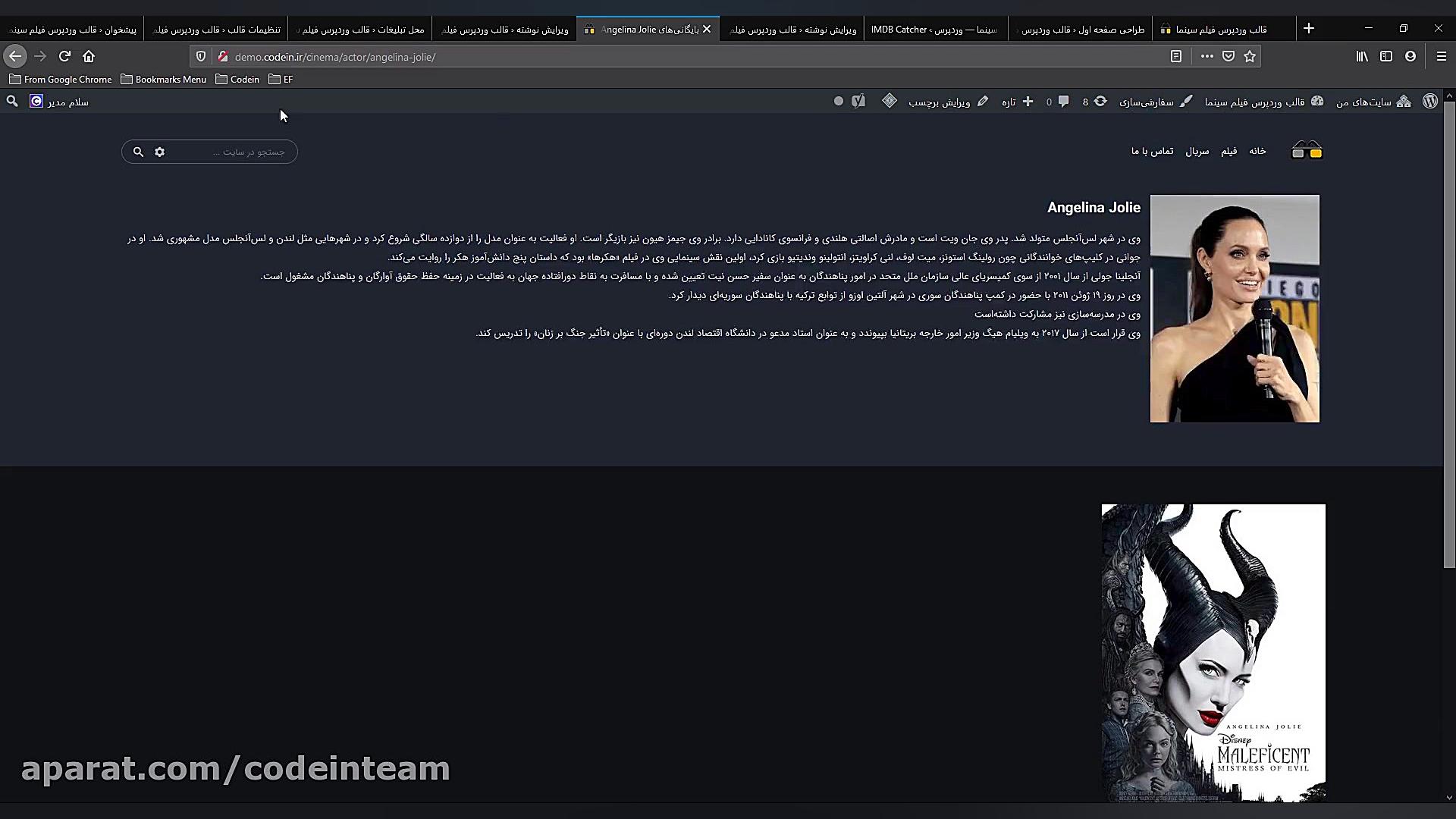 آموزش تنظیم قالب سینما