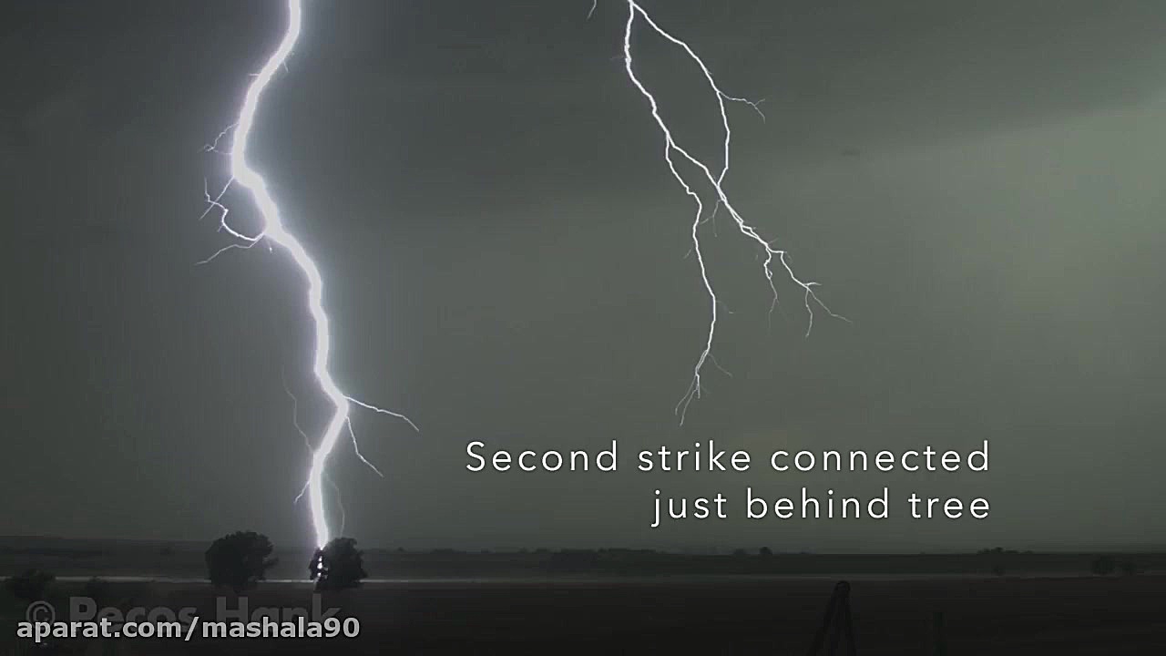 برخورد صاعقه با درختان