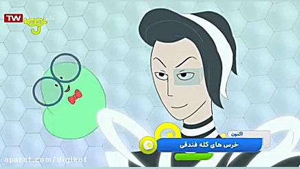 خرس های کله فندقی  واقعیت مجاز...