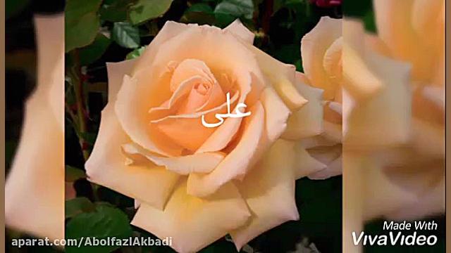 کلیپ بسیار زیبا با موسیقی و با...