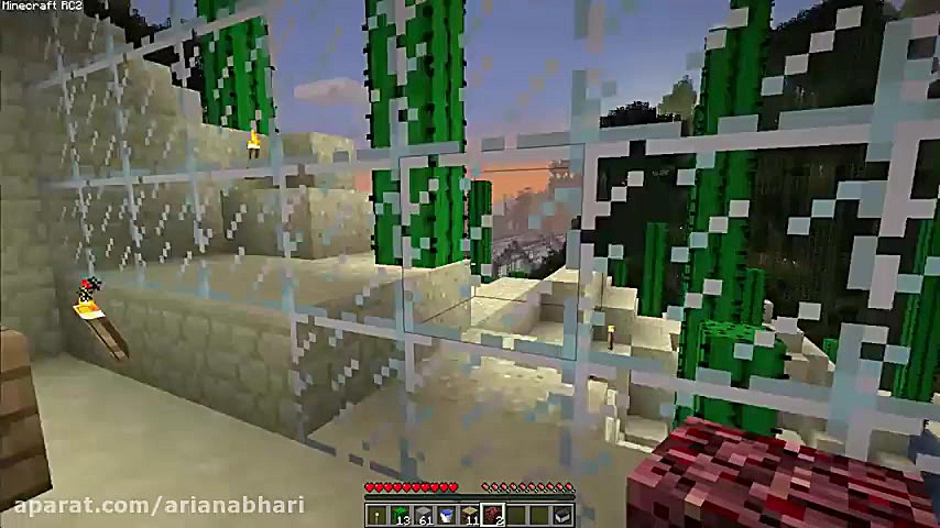 شهربازی سگ های نگهبان در ماین...