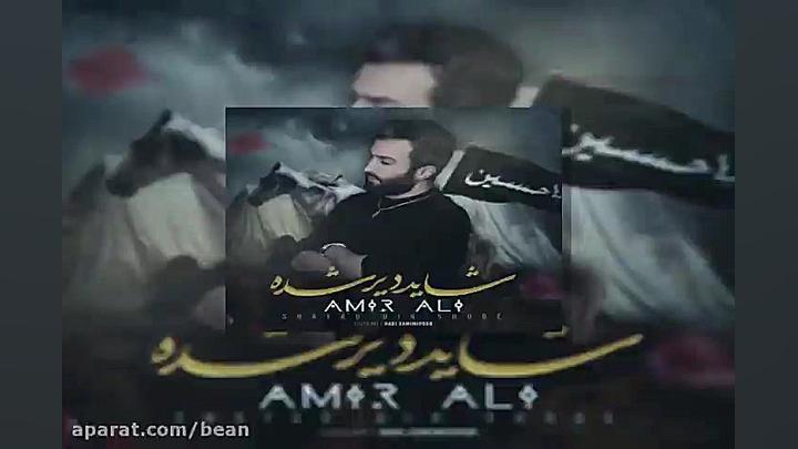 امیر علی شاید دیر شده