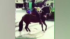 رقص زومبای فوق العاده زیبای اس...