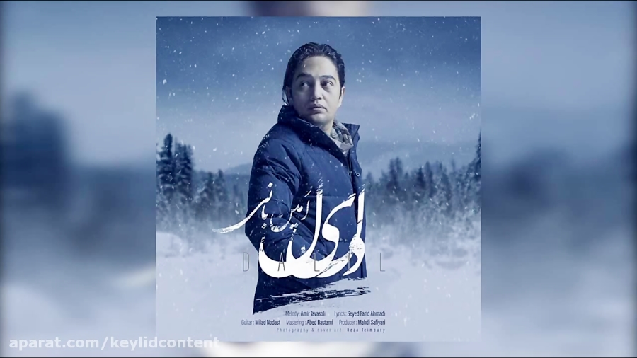 دانلود آهنگ جدید امین بانی به نام دلیل