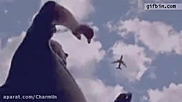 شکار هواپیما