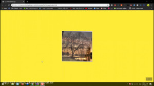 Css3 Tilt Image Animation  Pur...