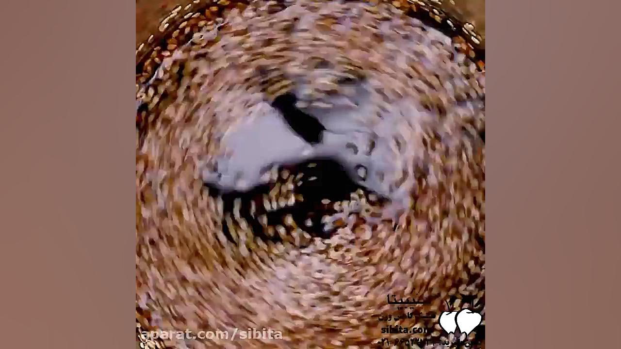 آشپزی سالم  سالاد مرغ با سس سو...