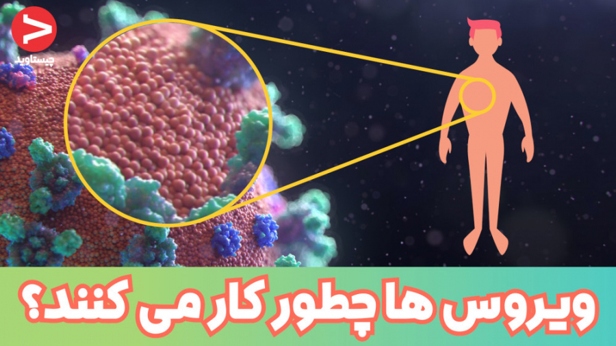 اگر کرونا بگیریم دقیقا چه اتفا...