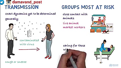 ویروس کرونا سازمان جهانی بهداش...