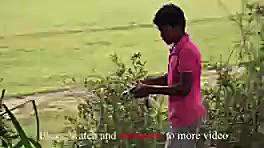 آموزش ساخت تله برای پرنده (باح...