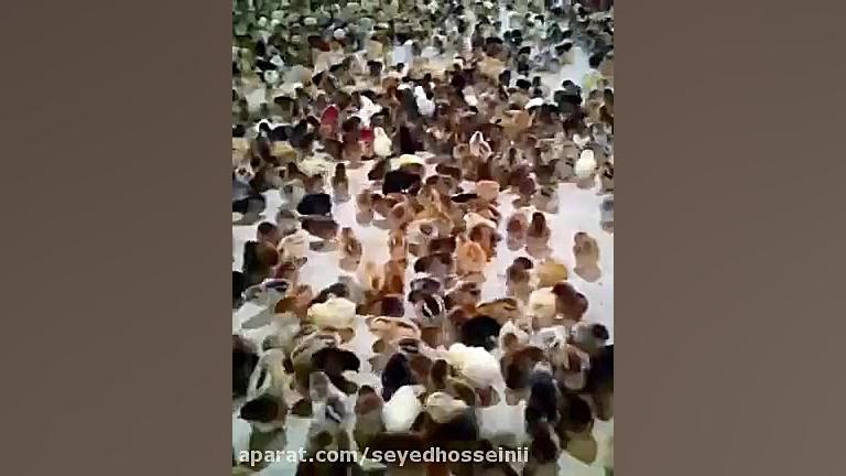 رضایت مشتری نیشابور