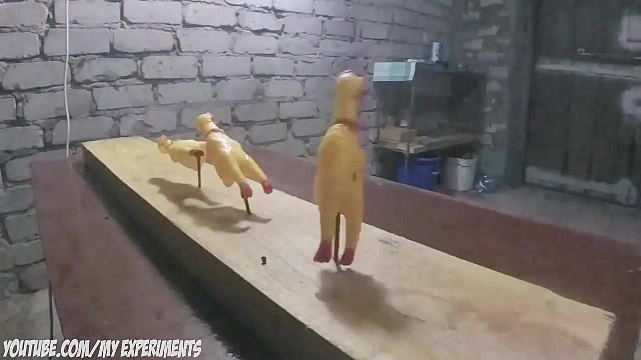 آزمایش عجیب  کلت کمری علیه جوج...