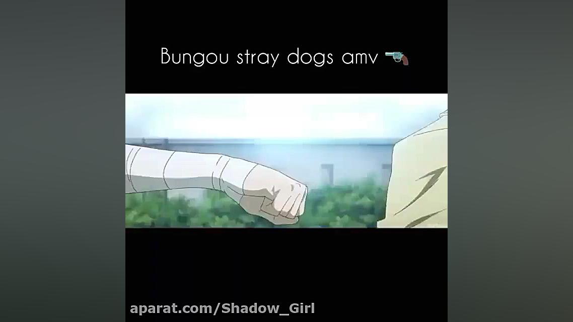 َAMV سگ های ولگرد بانگو