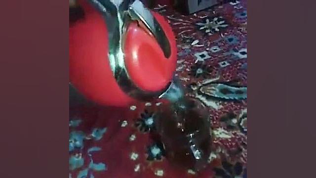 فلاسکی که به ویروس کرونا مبتلا...