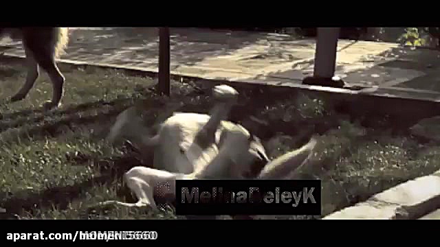 کلیپ ملینا بلیک (beleyK) یک اس...