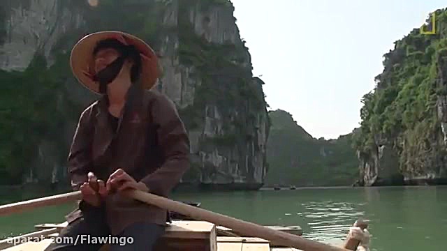 تور ویتنام با فلاوینگو