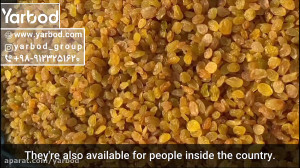 فروش آنلاین کشمش