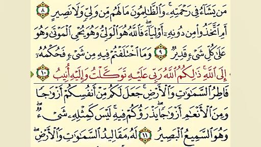 تلاوت و قرائت قرآن همزمان با ن...