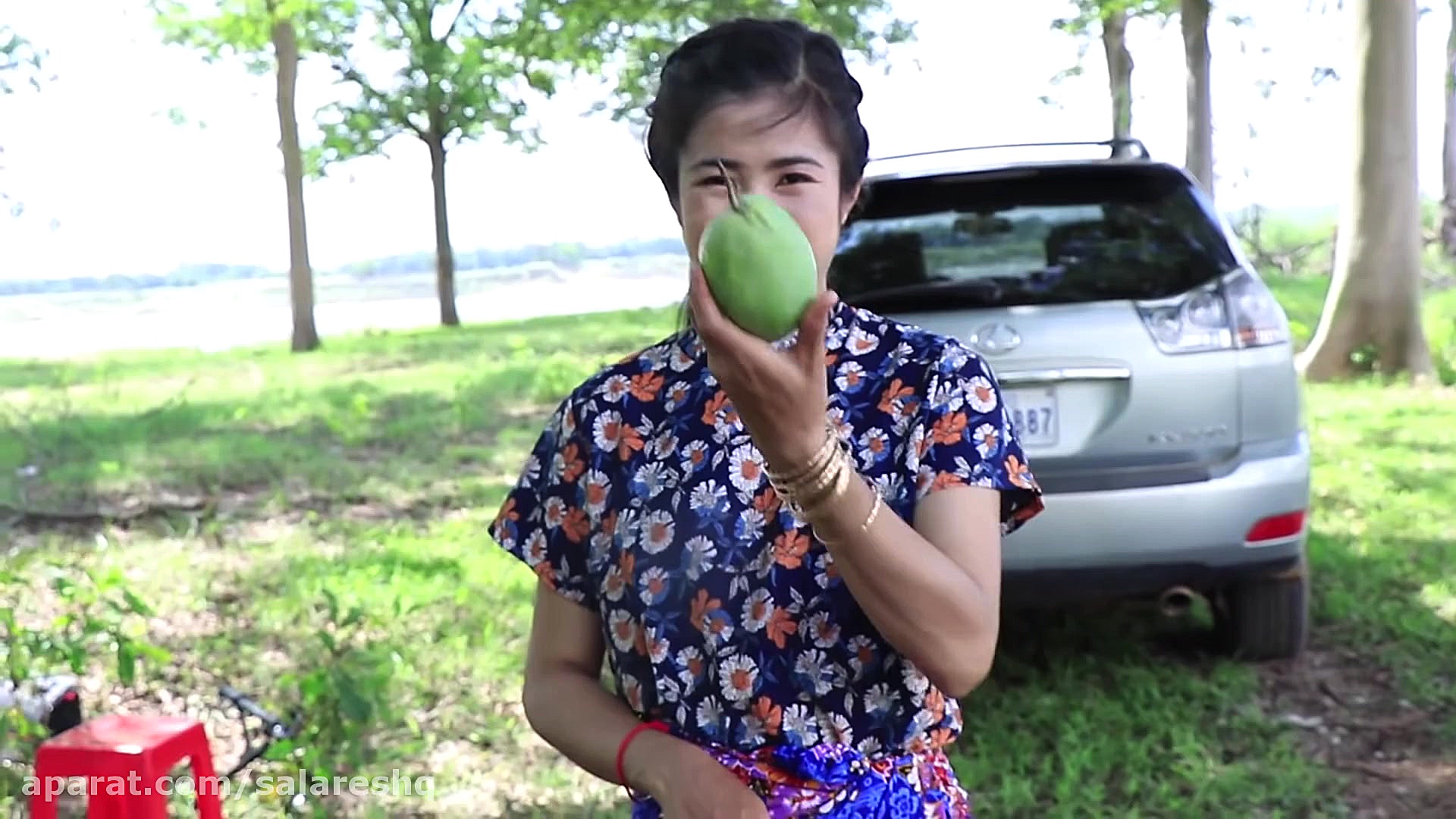 طرز درست کردن کباب سرخ شده از...