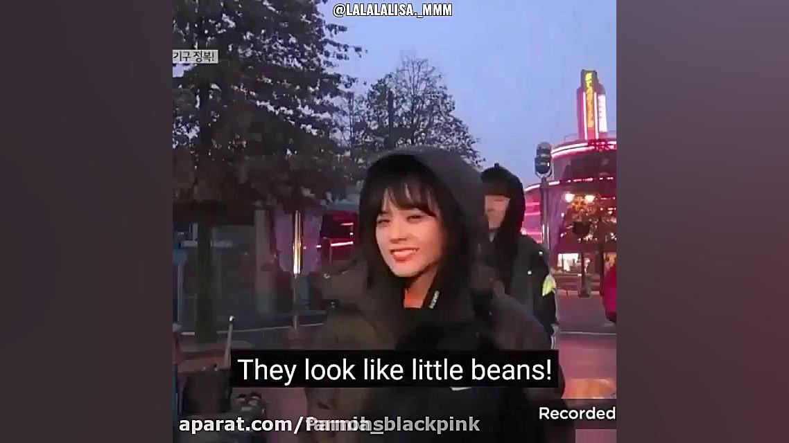 تعطیلات بلک پینک تو شهربازی