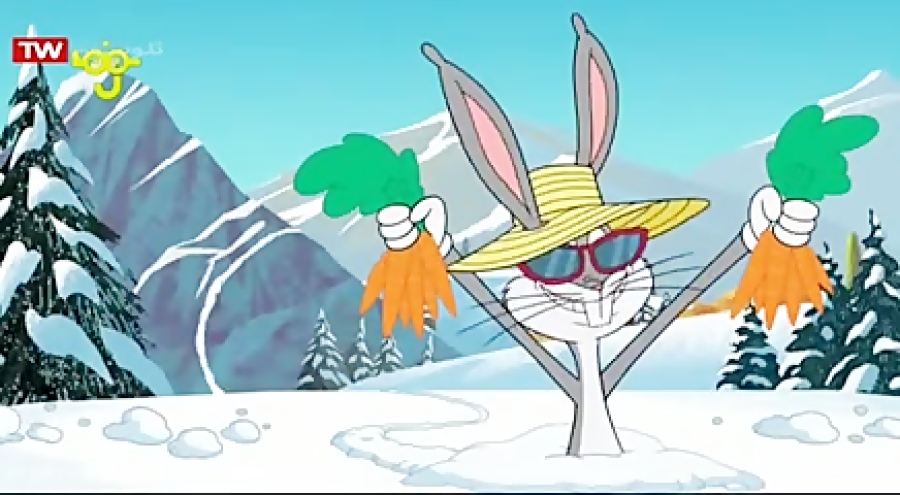 باگز خرگوشه  باگز نفوذی